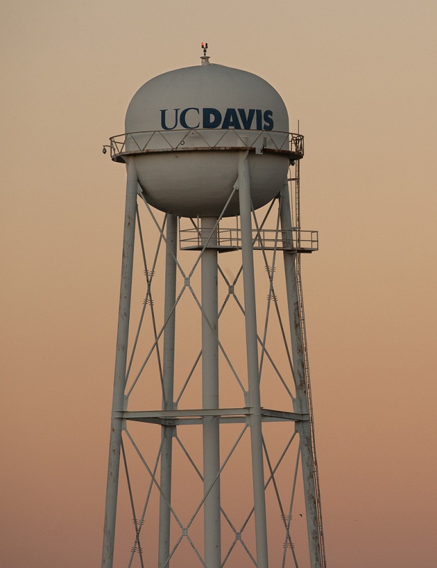 UCD tower.